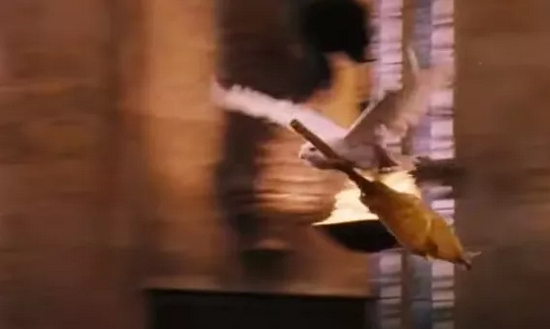 电影中，海德薇凭一己之力运动飞天扫帚丨《哈利波特与魔法石》