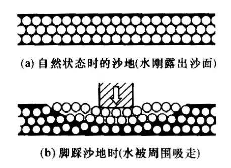 脚踩湿沙前后结构的变化（图片来源：高分子材料流变学。吴其晔，巫静安编）