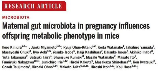 《科学》研究揭示母亲的肠道菌群如何影响孩子肥胖