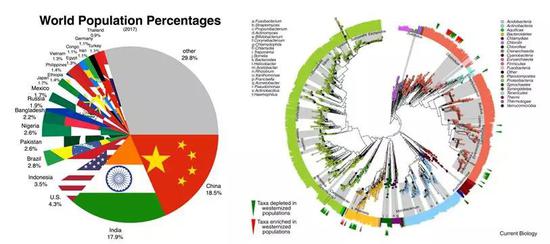 图片来源：By Wikideas1 [CC BY-SA 4.0 （https：//creativecommons.org/licenses/by-sa/4.0）]， from Wikimedia Commons；https：//doi.org/10.1016/j.cub.2015.05.040