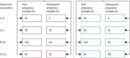 二价（左侧红框）和四价（右侧蓝框）疫苗接种者中，疫苗接种后不同年限、首次怀孕和后续怀孕期间所获得的血清样本数量