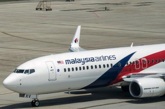 英国专家称，MH370客机残骸位于柬埔寨密林深处。（图源：Getty）