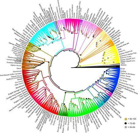 这种动物，从上古时期与人类相爱至今