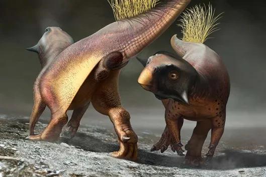 恐龙如何“谈恋爱”？唯一化石告诉你