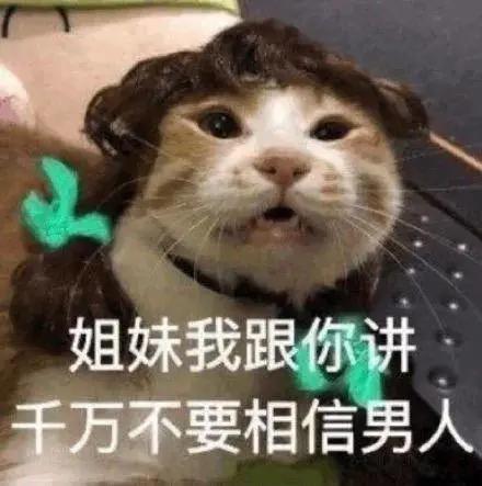 卧底“传销式”算命网站,骂医务、骗宝妈