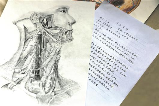 内蒙古医科大学医学生绘制的人体解剖学图像