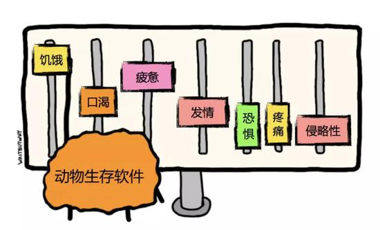 人类我们的故事