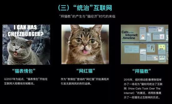 喵星人统治互联网:今天,你看“猫片”了吗? 猫是如何统治互联网的
