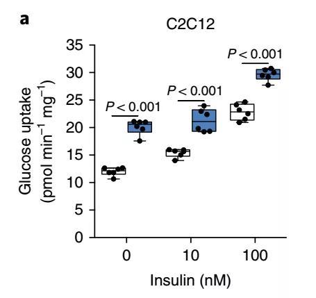 葡萄糖脂肪乳氨基酸三合一的价格 itiM-hswimzy7401921.jpg