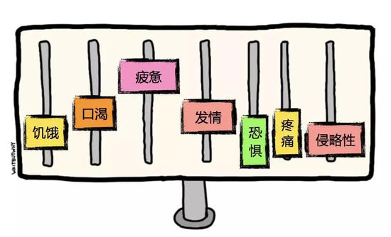 人类我们的故事