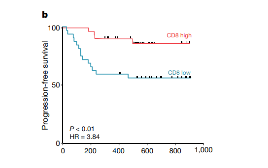  ▲CD8阳性T细胞越多的肾癌患者（红色），在术后的恢复越好（图片来源：参考资料[1]）