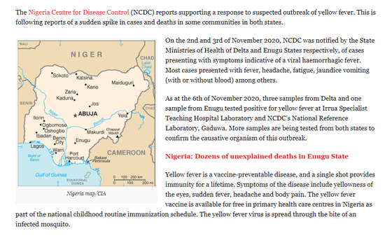 尼日利亚的另一种疫病，在新冠的阴霾下悄然暴发