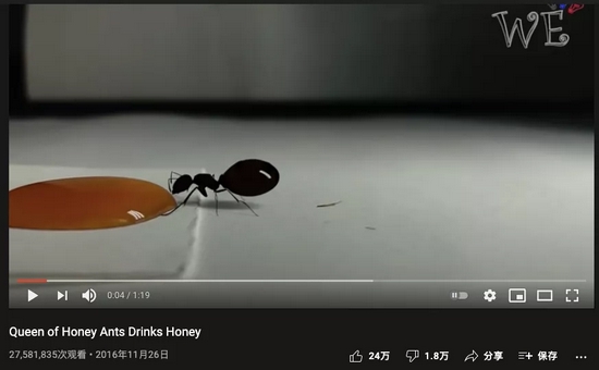 超2700万人观看了蜜蚁变大的视频