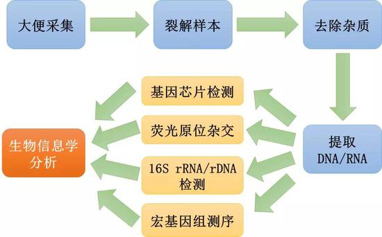 图4 传统大便微生物组分析的大致流程，每个样本处理的步骤之间往往还需要多次清洗 （图片来源：作者自制）