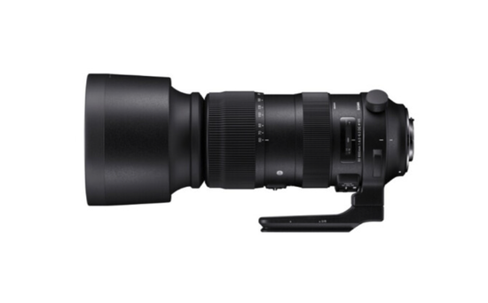 适马现款 60-600mm