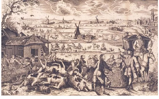 画家&nbsp;Jan Smit&nbsp;绘制的18世纪荷兰牛瘟流行时的场景。1745年荷兰曾爆发严重的牛瘟，因此不得不从德国大量进口德国黑斑牛（DSN）。图片来源：（DOI）10.1002/evan.20267