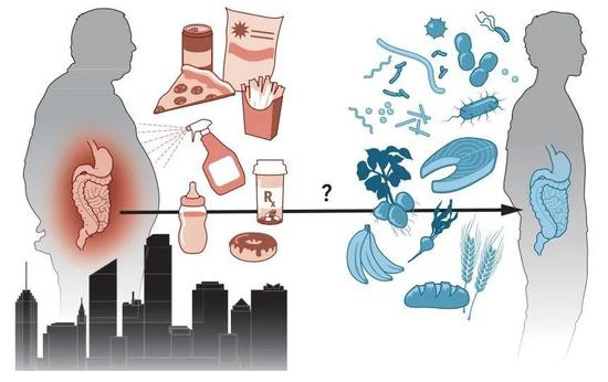 工业化对人体微生物的影响（图片来源：KELLIE HOLOSKI/SCIENCE， 8）