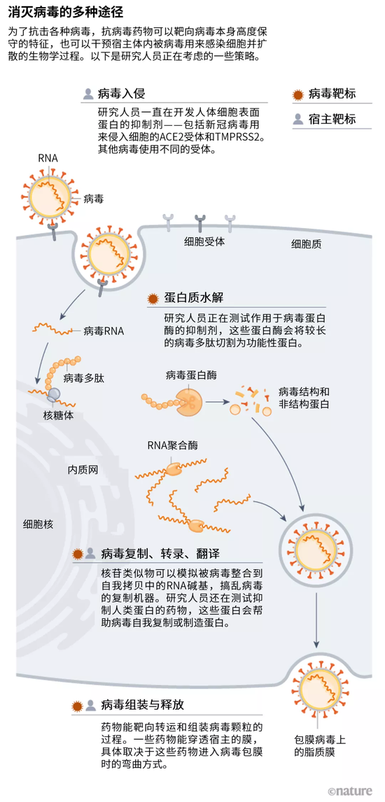 SARS没能逼出来的抗病毒药物能在新冠疫情中研发成功吗？