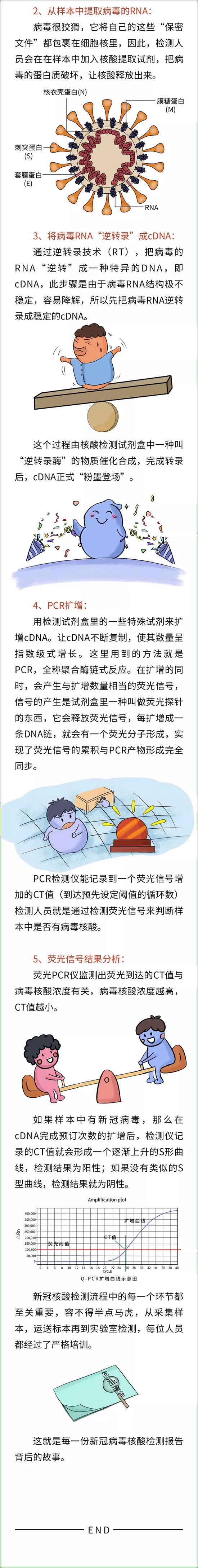 核酸检测报告是怎么做出来的？