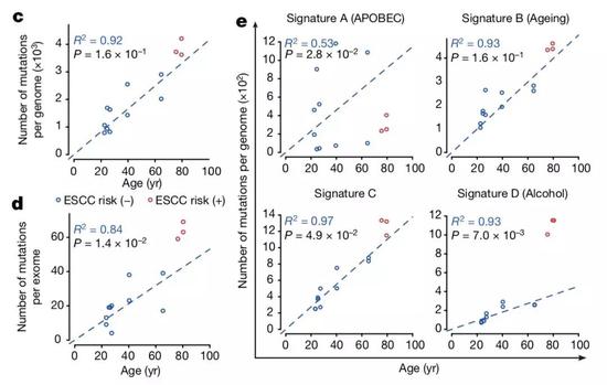 ▲长期抽烟喝酒的高风险者，基因突变的速度加快（图片来源：参考资料[1]）