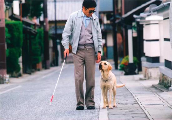 《导盲犬小Q》剧照