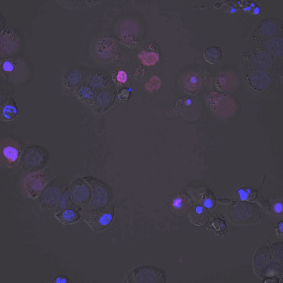 带你解锁高阶版“工具人”使用手册