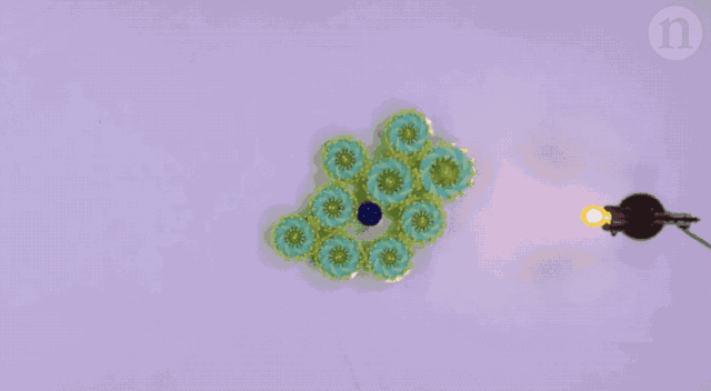 粒子机器人群体搬运物体