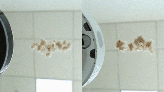 短毛发清洁测试：左侧科沃斯DJ35，右侧米家