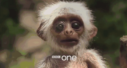 　　看完后，小编只想说：哎哟喂，这满屏的可爱简直要溢出来了啊！