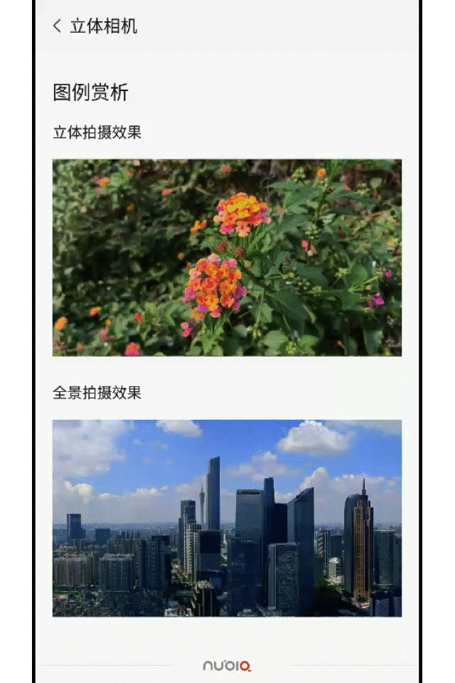 官方演示的立体照片