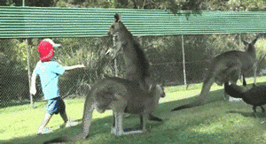 这种掏阴术一度为名门正派所不齿