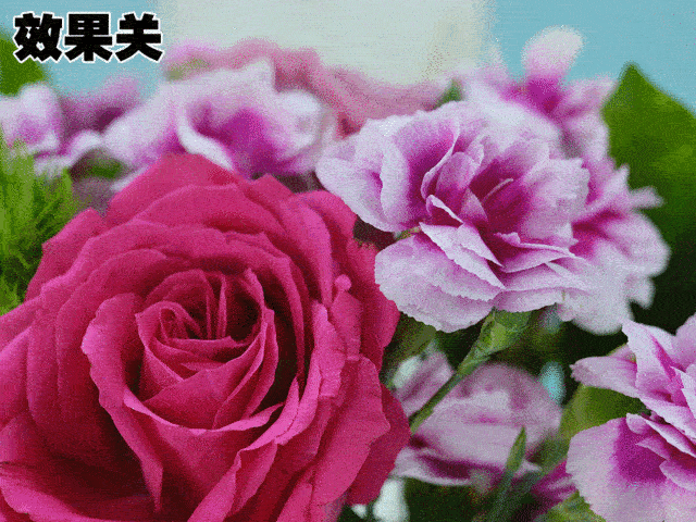 640_480gif 动态图 动图