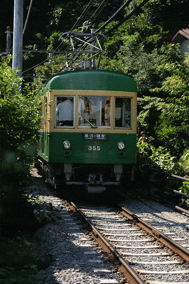 高速连拍（机械快门8张/秒）追焦连拍展示