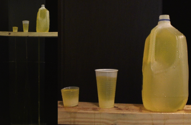 ģ�¹��������Ϭţ�����ʵ��