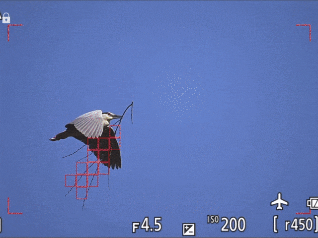 尼克尔Z 400mm f/2.8 TC VR S镜头追焦测试