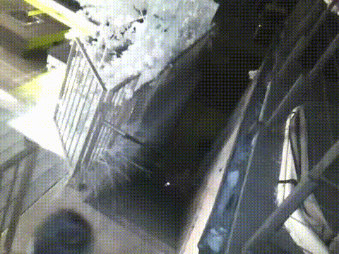 德国佬：“丢大老鼠！”