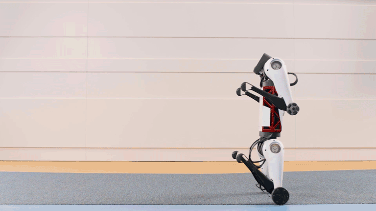 （Max平衡抗扰演示）