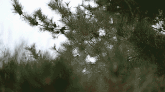 Normal（左）和Sport（右）减震模式