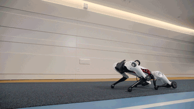 （Max首次实现了四足到双轮站立演示）