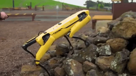 财经自媒体|为啥科技公司都想养只机器狗?