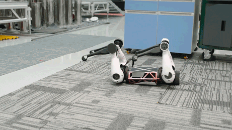 （Max正在训练摔倒后爬起）