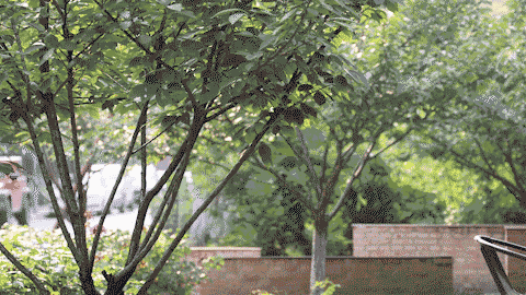 可以很快对面部进行响应