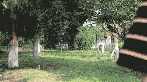 逆向走去，人物轮廓比较清晰