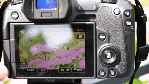 触摸对焦响应非常迅速