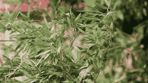 105mm 镜头防抖开 数码IS关