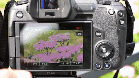 设置对焦速度为最慢