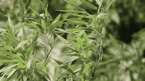 105mm 镜头防抖开 数码IS开