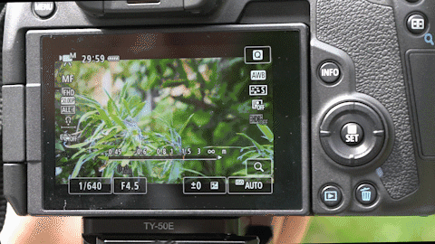 峰值对焦功能演示