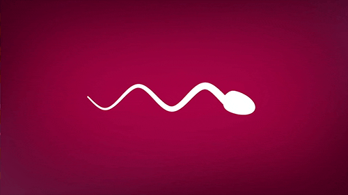 　精子抗體能拖住精子，不讓它們遊過生殖道丨Giphy