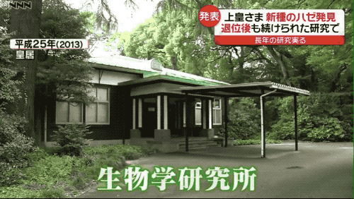 　明仁的生物学研究所